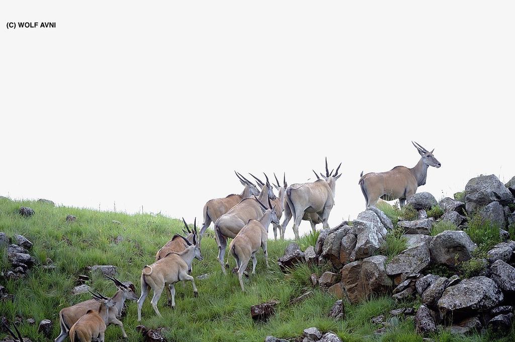Giantscup Wilderness Reserve Underberg Exterior foto